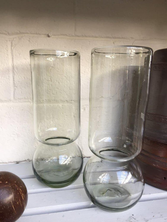 Amaryllis Bulb Vases Detroit Garden Works