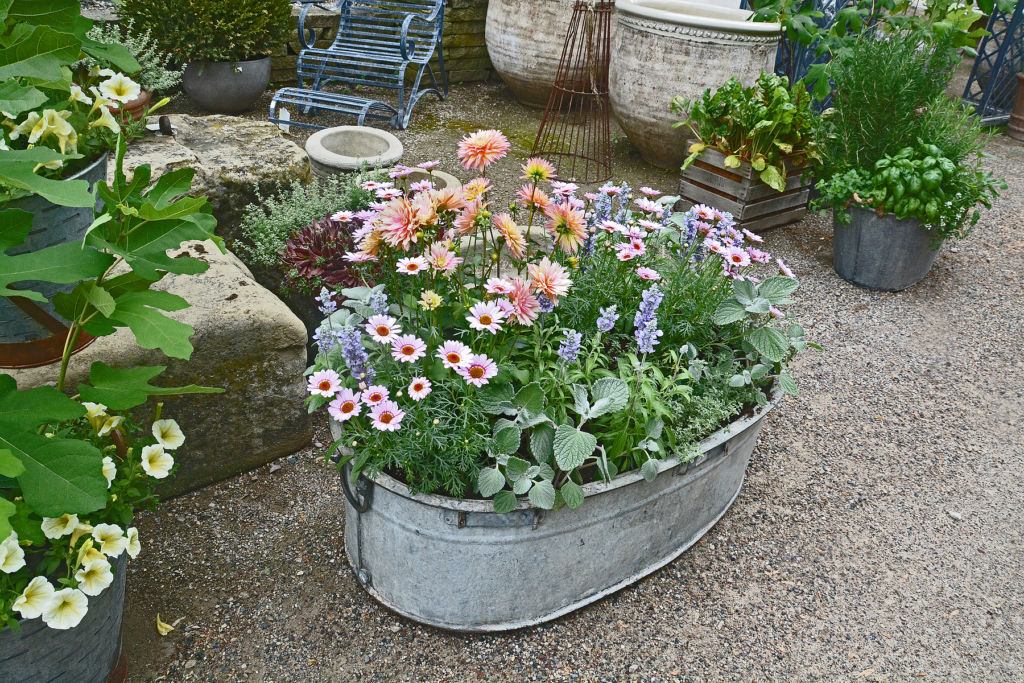 Oval Galvanized Tub Planting Detroit Garden Works