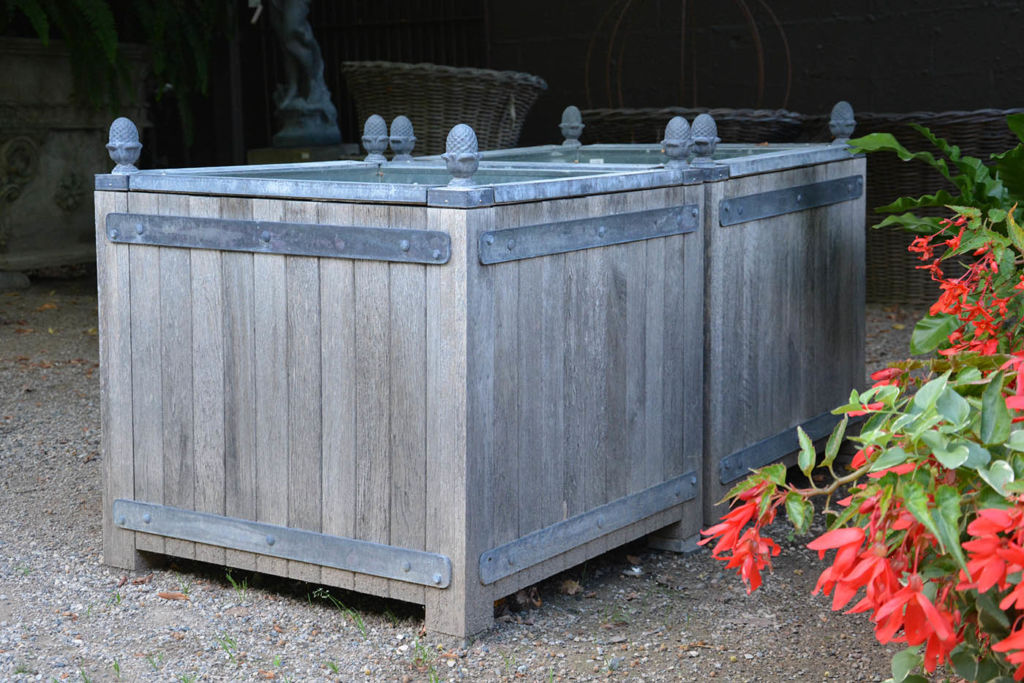 Classic French Style Orangerie Boxes