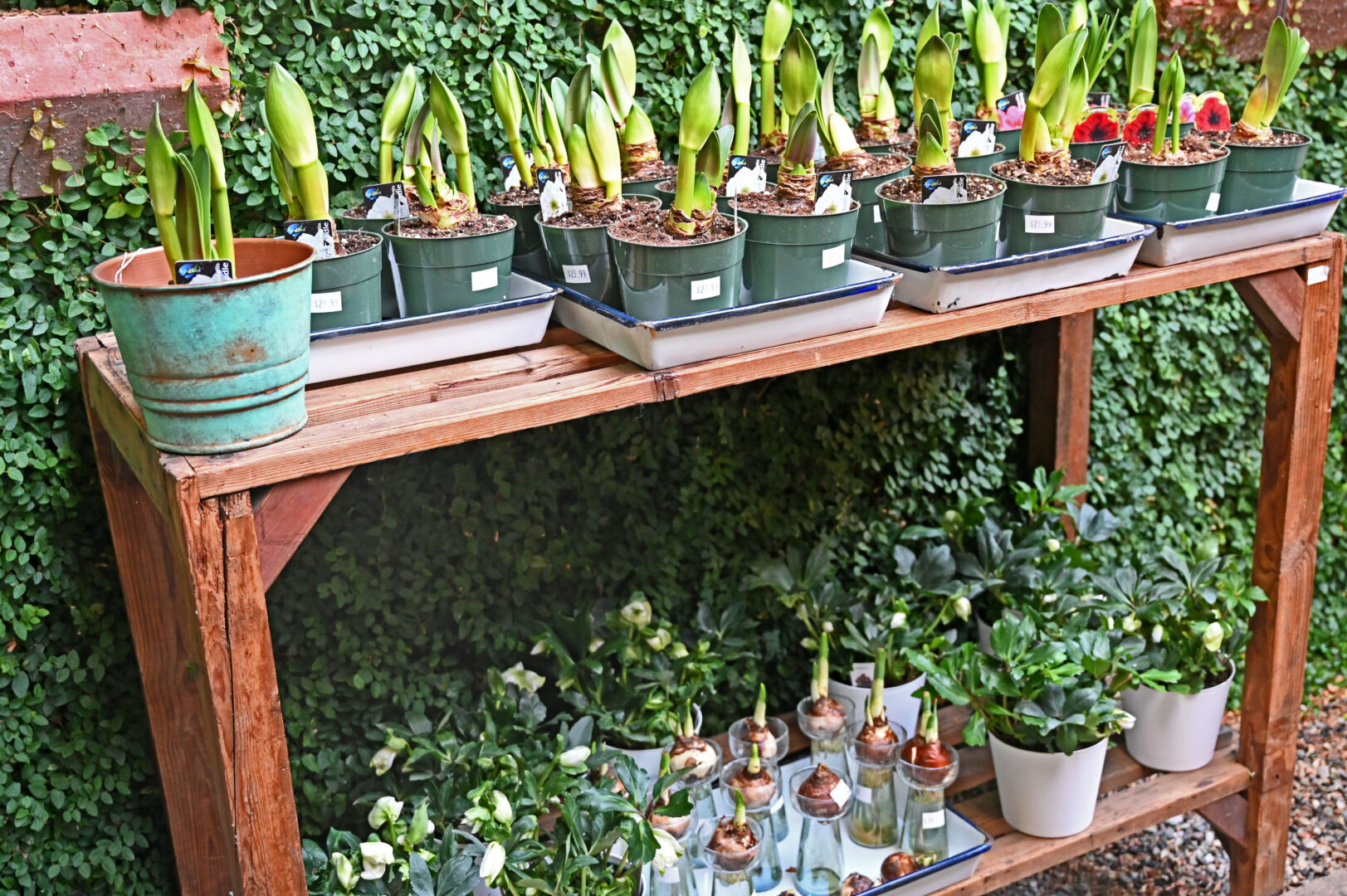 Detroit Garden Works