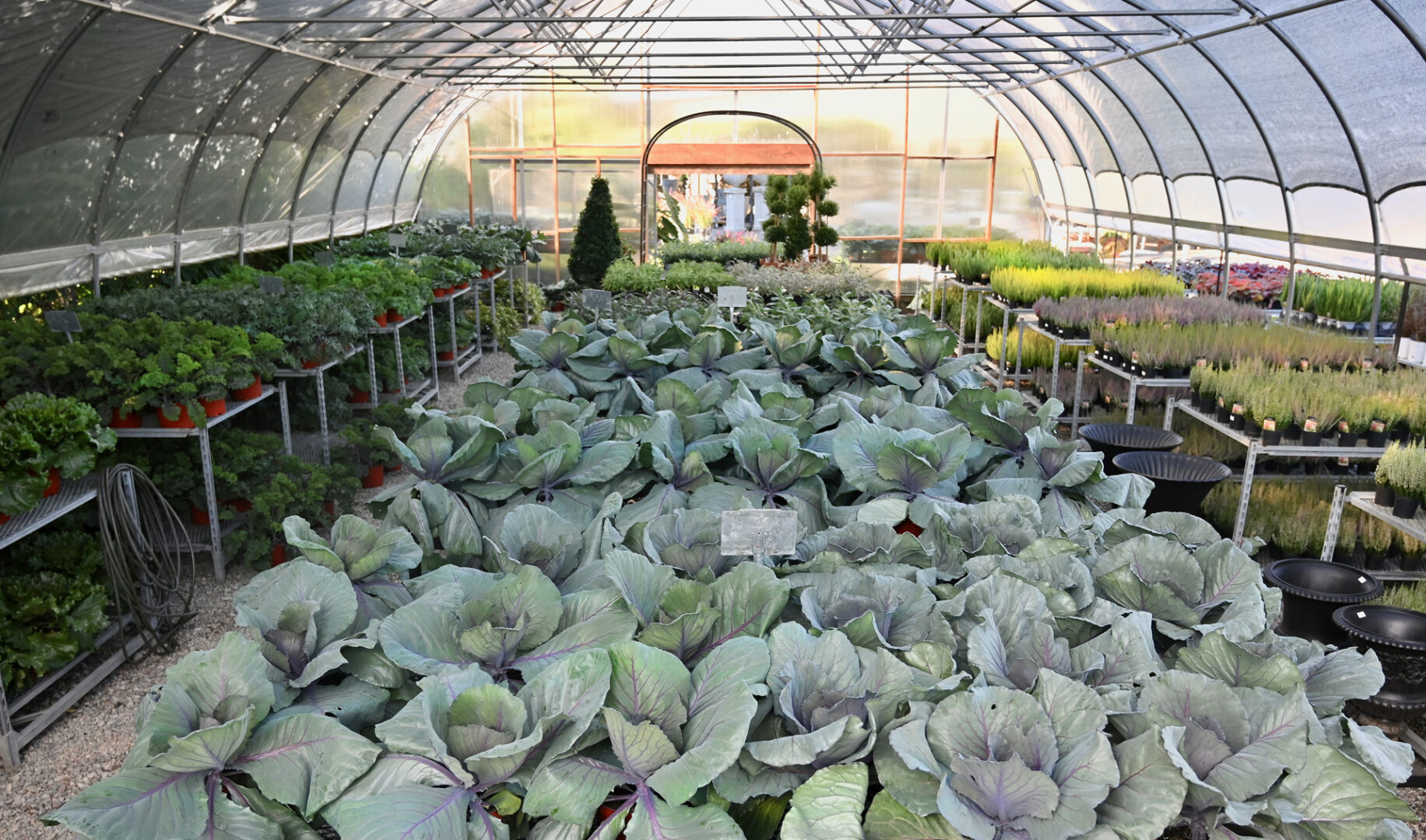 Seasonal Plant Material