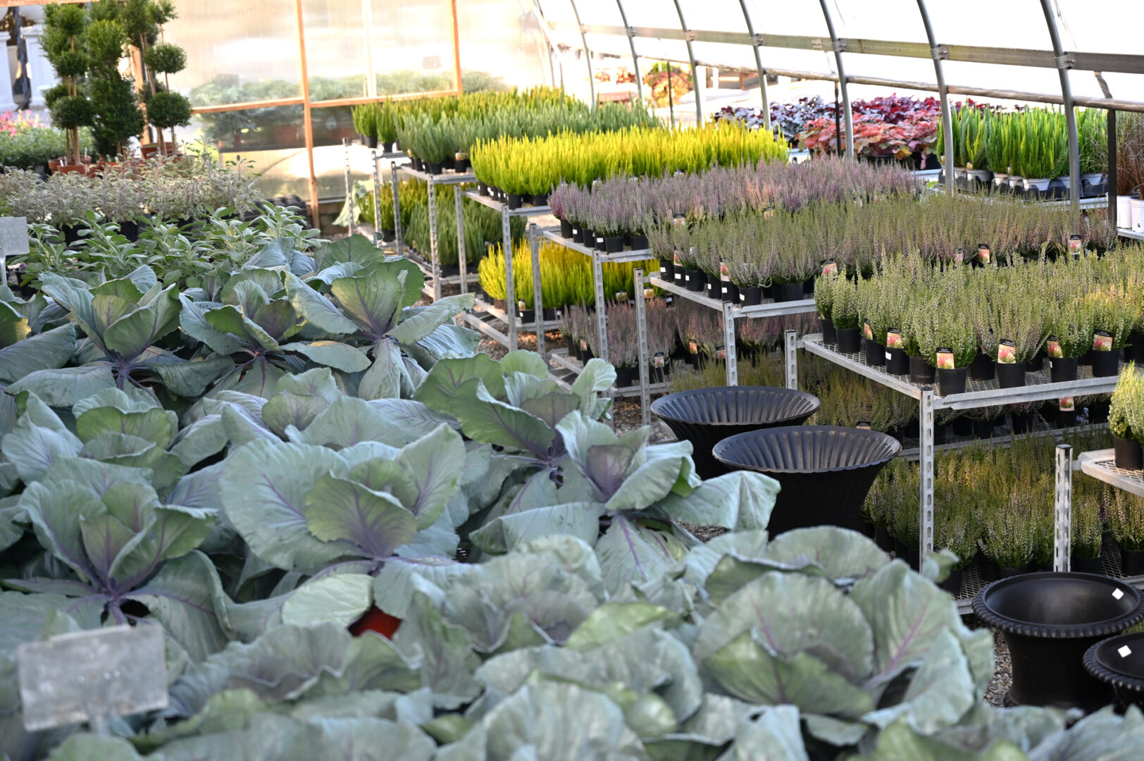 Detroit Garden Works
