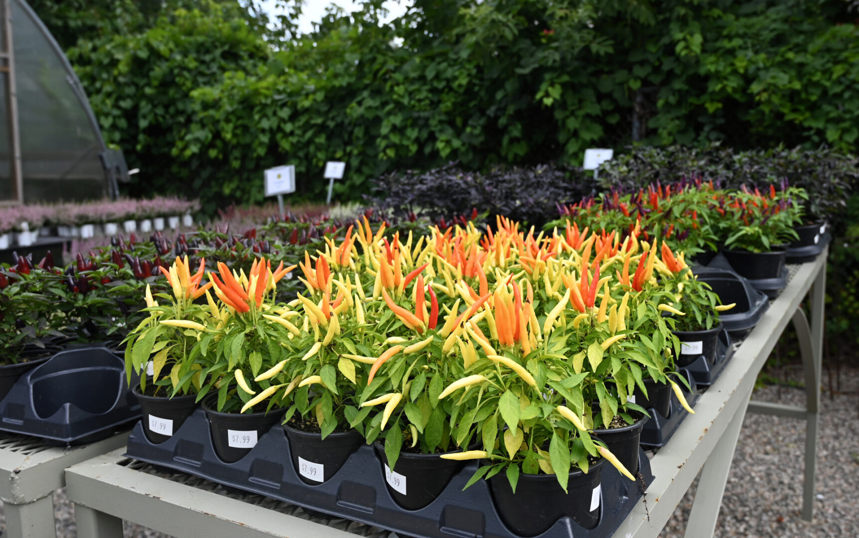 Detroit Garden Works