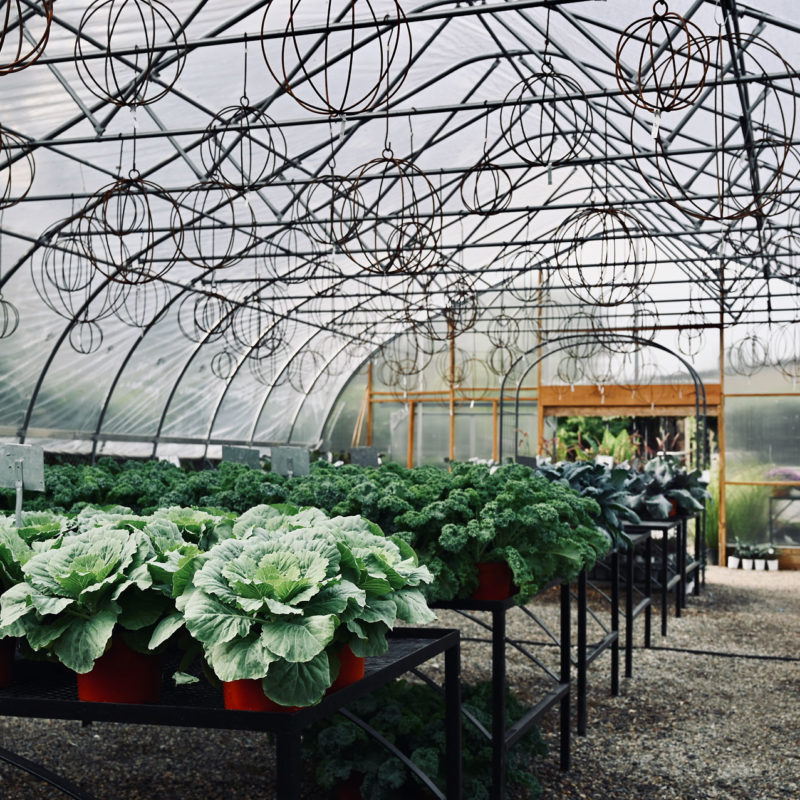 Detroit Garden Works