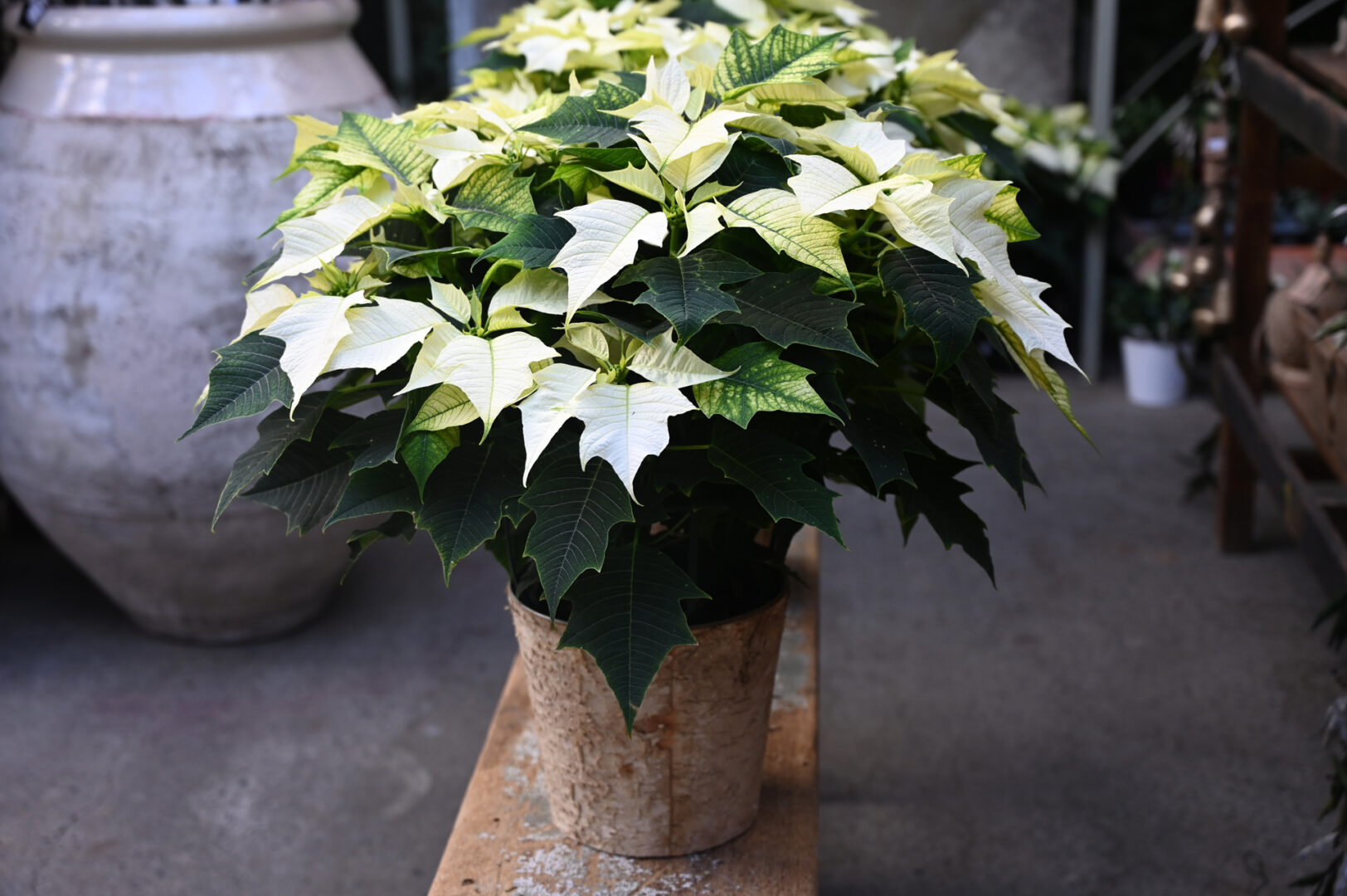 Detroit Garden Works