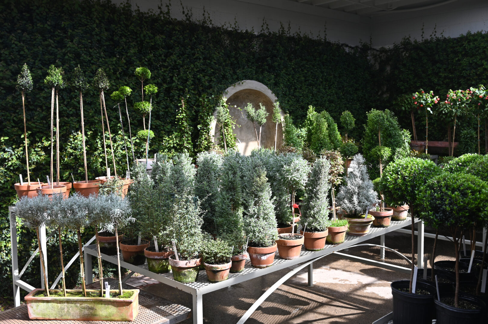 Detroit Garden Works