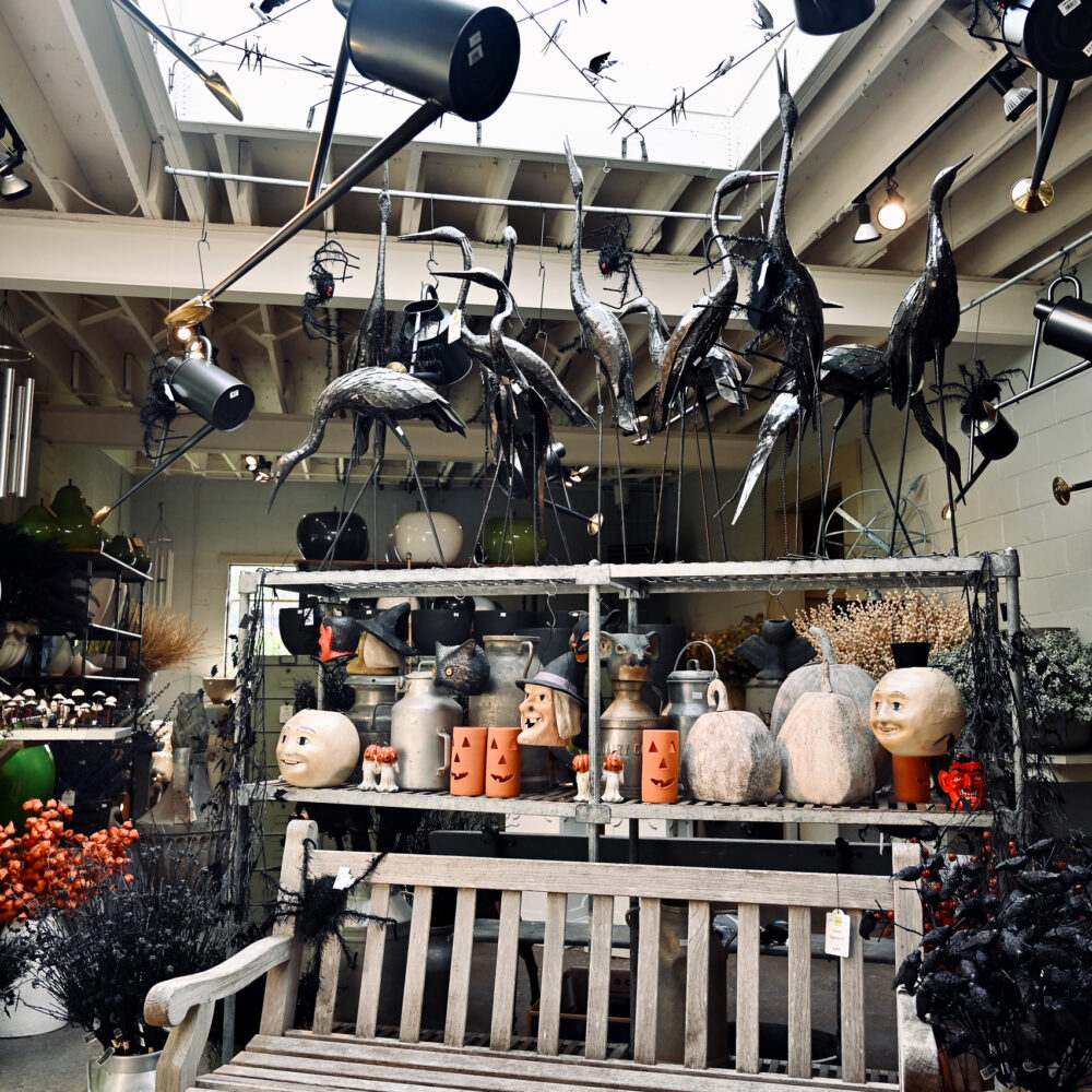 Halloween Collection