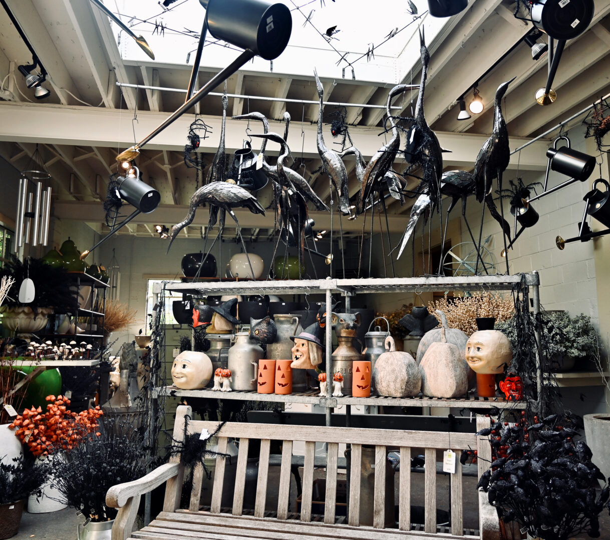 Halloween Collection