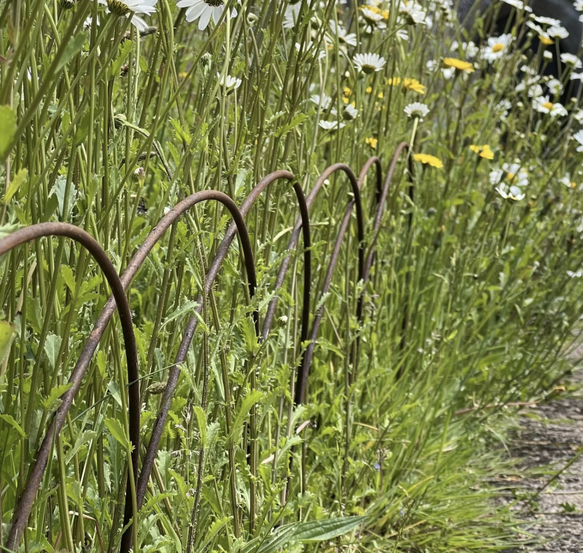 Detroit Garden Works