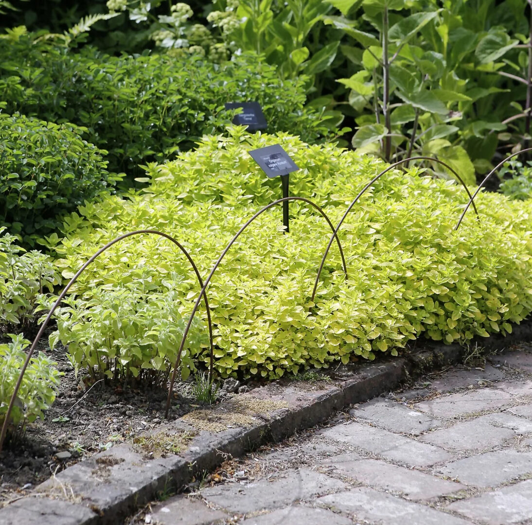 Edging Hoops