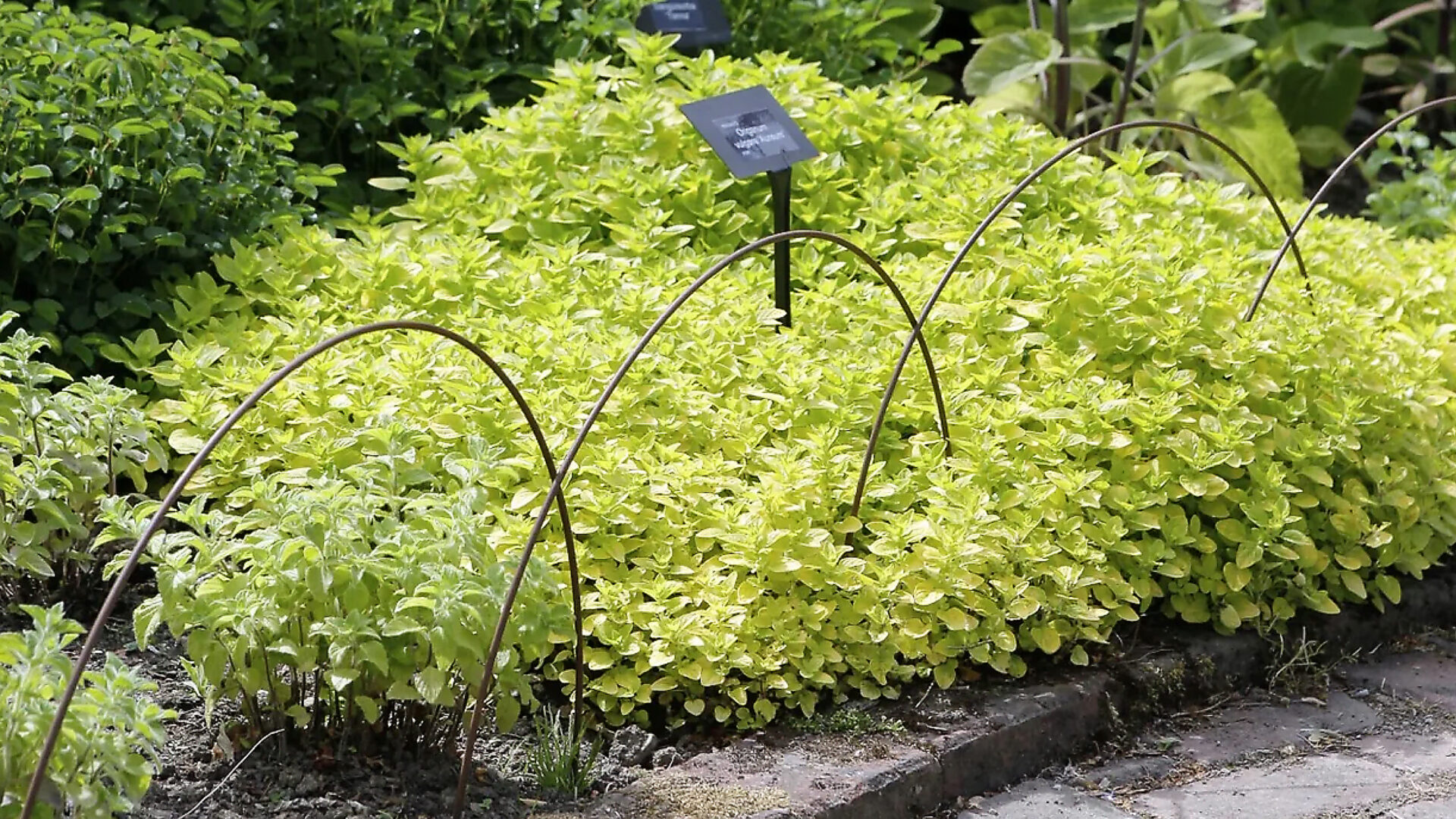 Detroit Garden Works