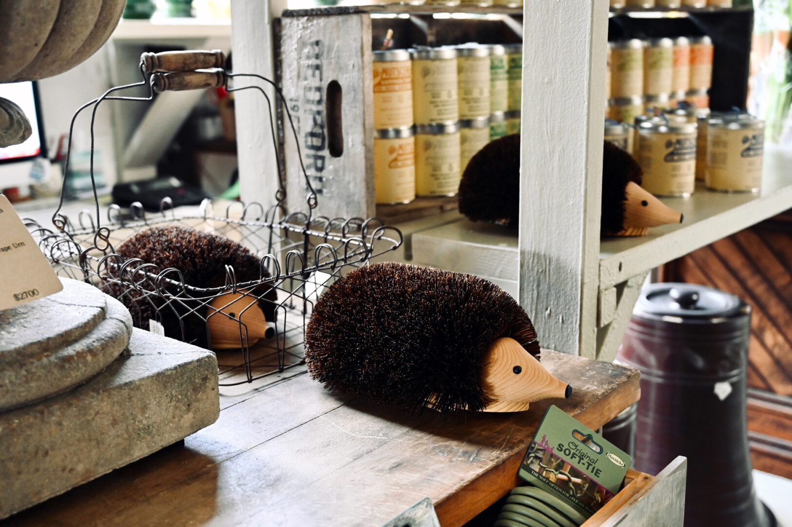 Shoe Cleaning Hedgehog
