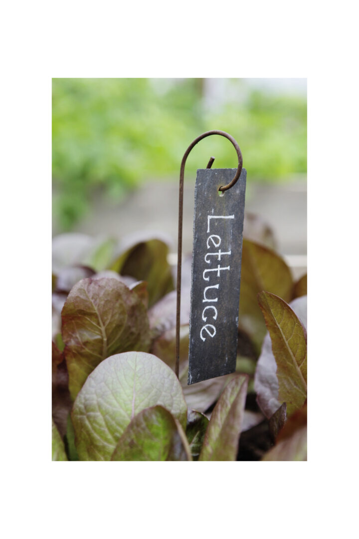 Slate Plant Label