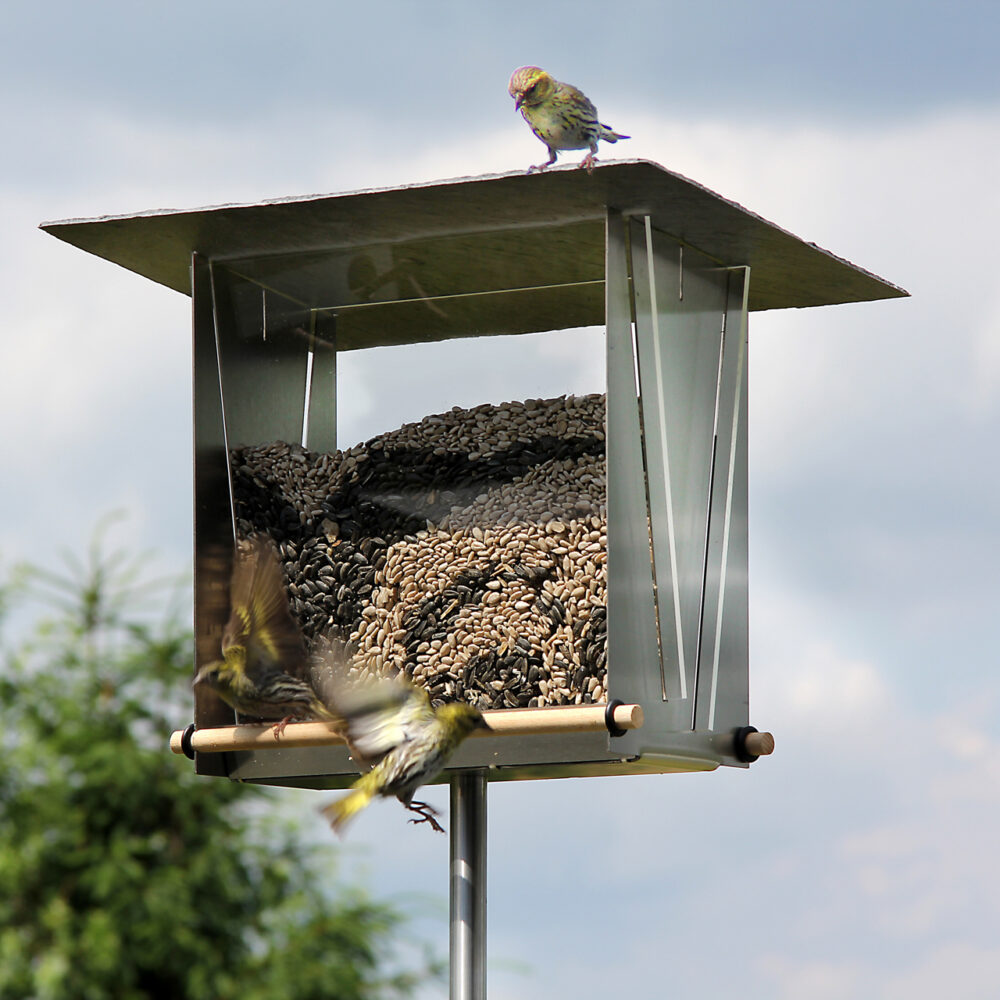 Stainless Steel Bird Feeders