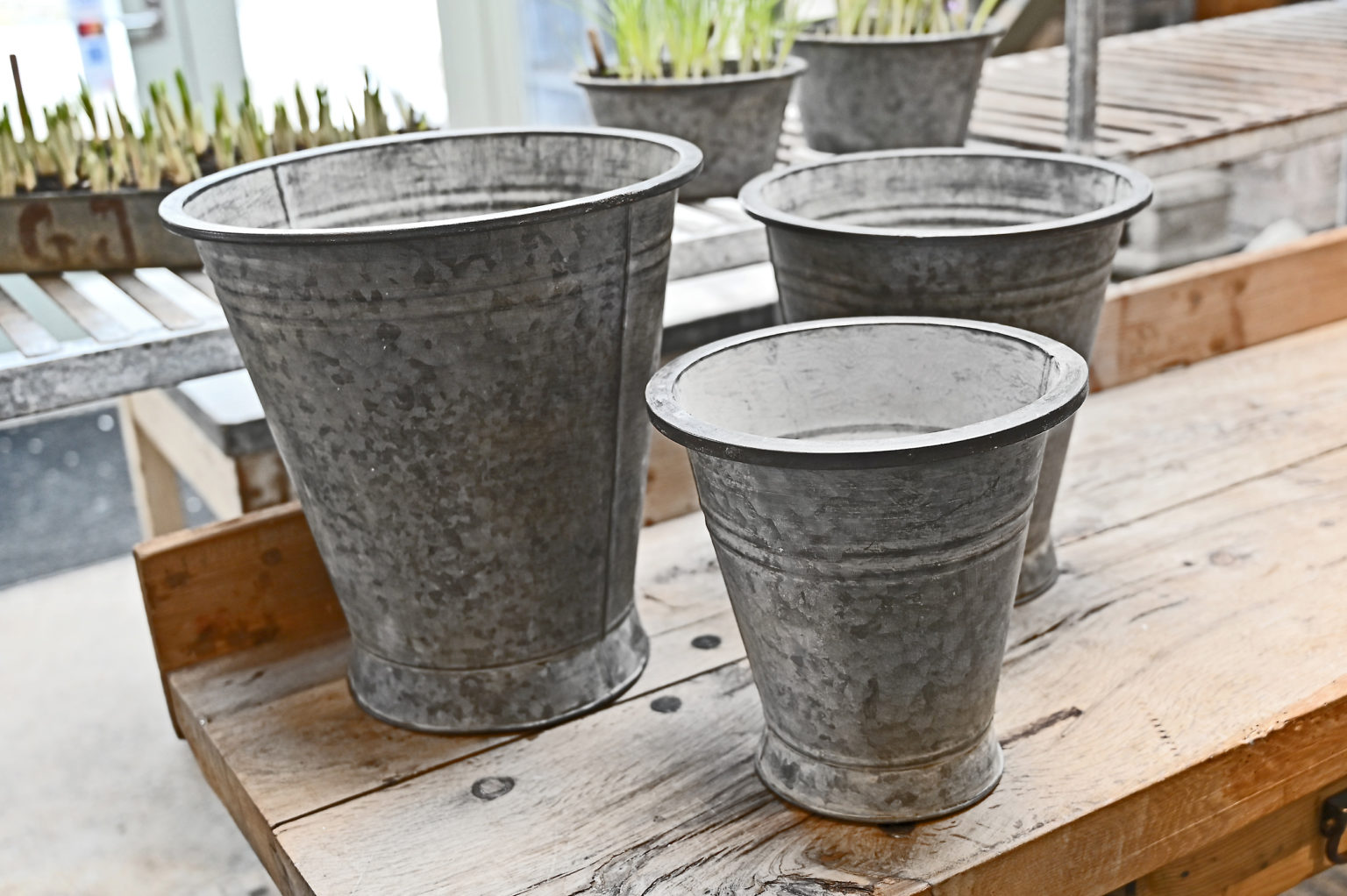 Tapered Galvanized Flower Bucket Detroit Garden Works