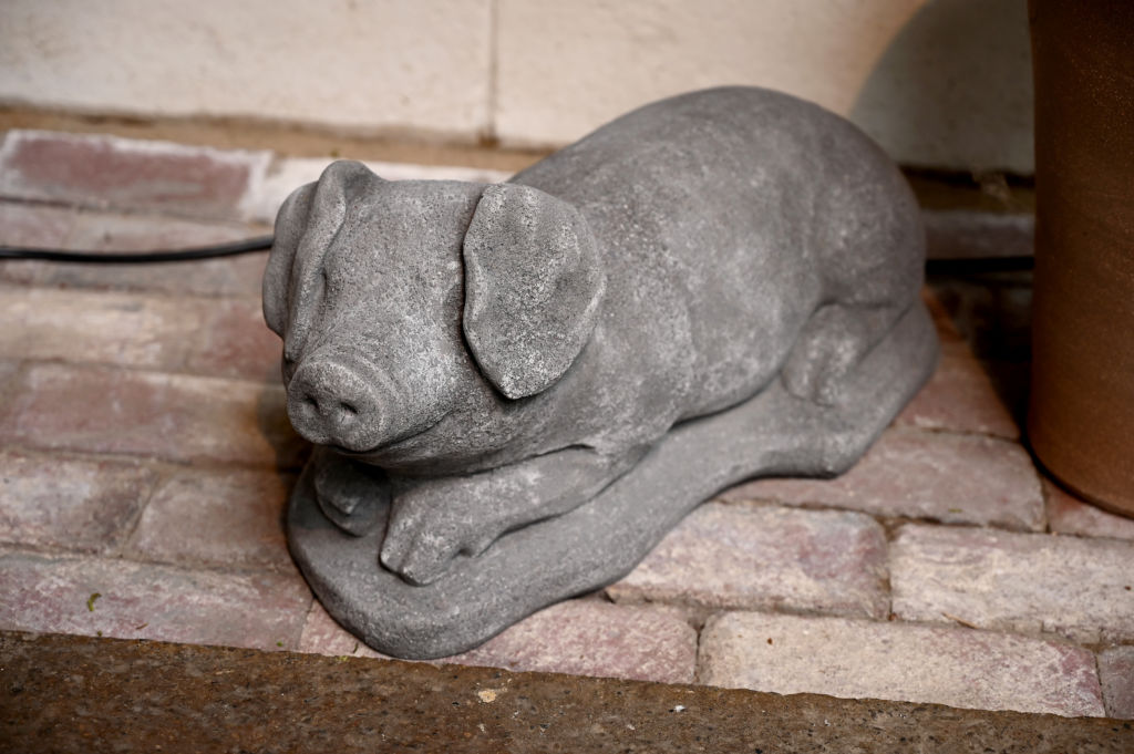 Sir Francis Pig Statue | Detroit Garden Works