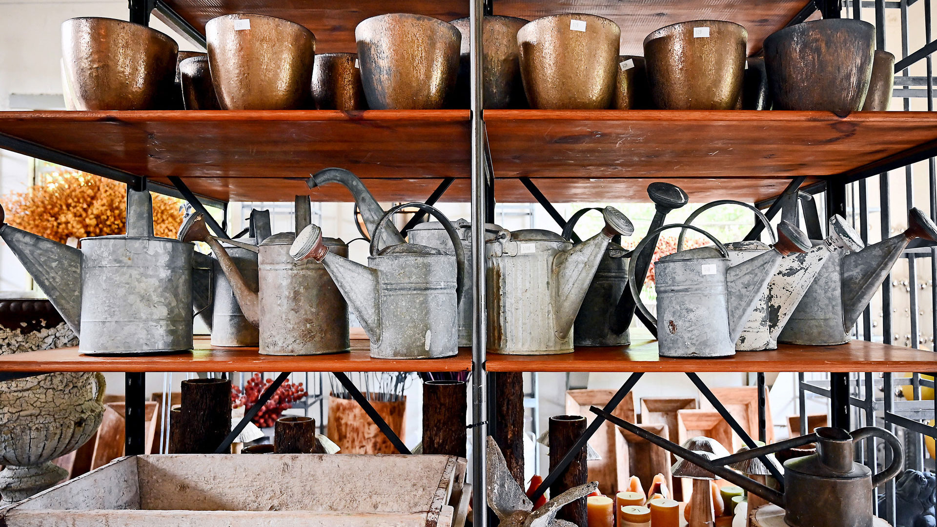 Vintage Watering Can Collection