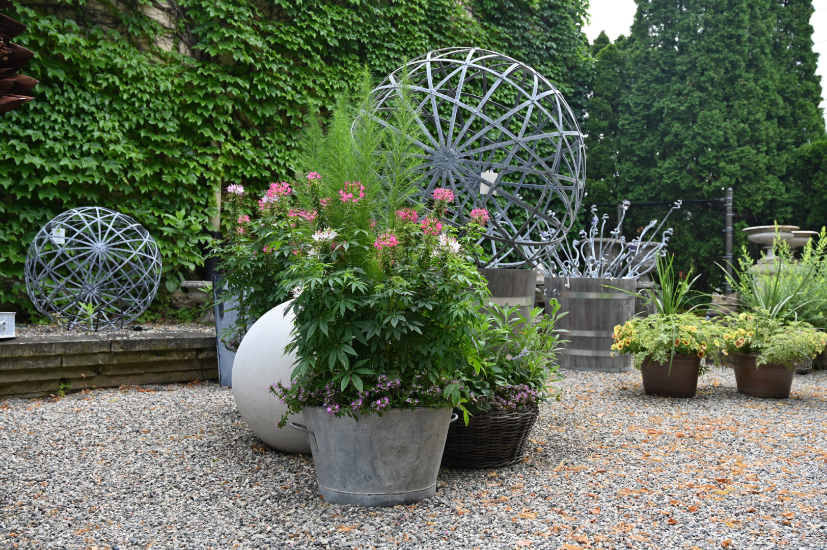 Planted Seasonal Pots