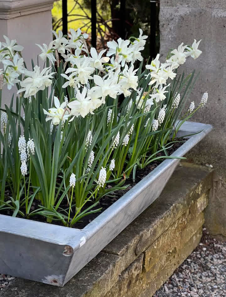 Detroit Garden Works