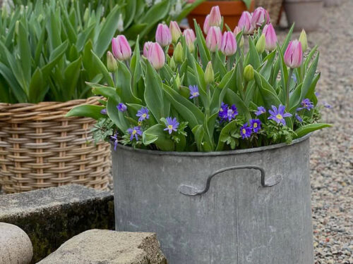 Detroit Garden Works