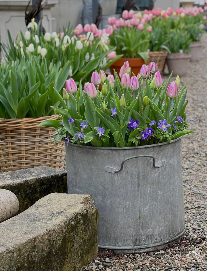 Detroit Garden Works