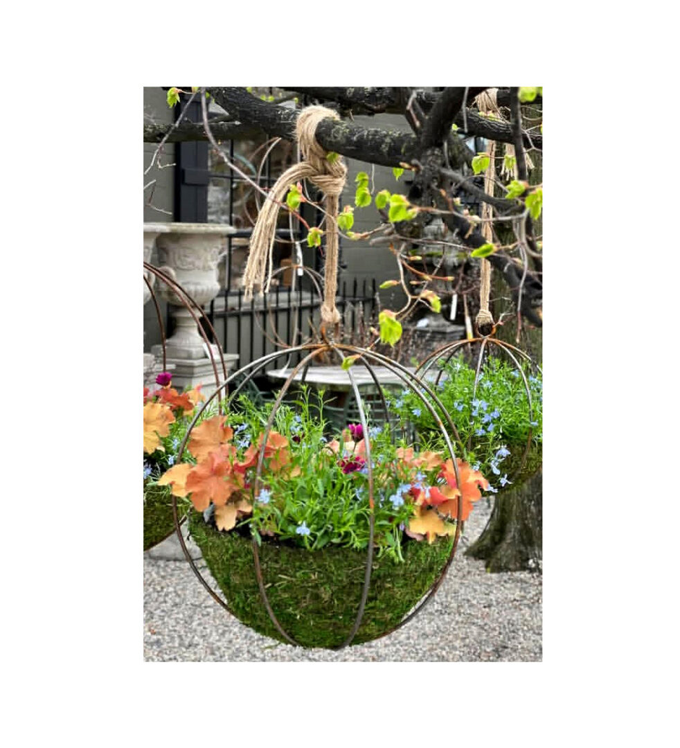 Planted Seasonal Pots