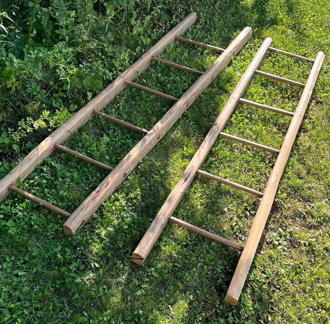 Log Ladders