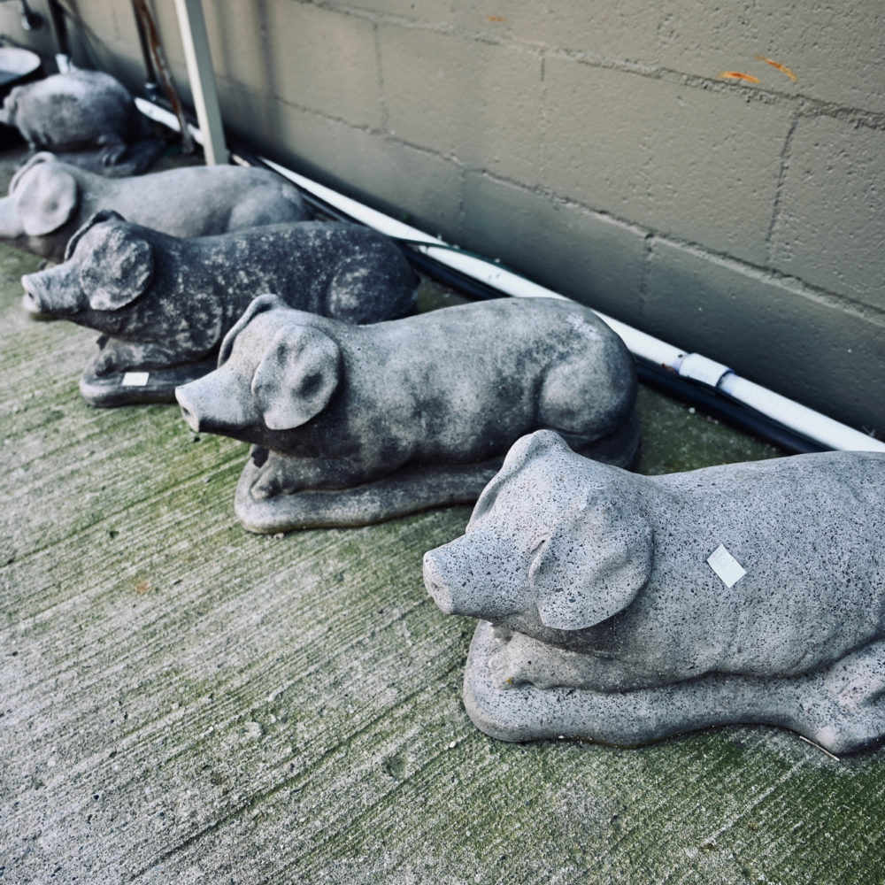 Sir Francis Pig Statue