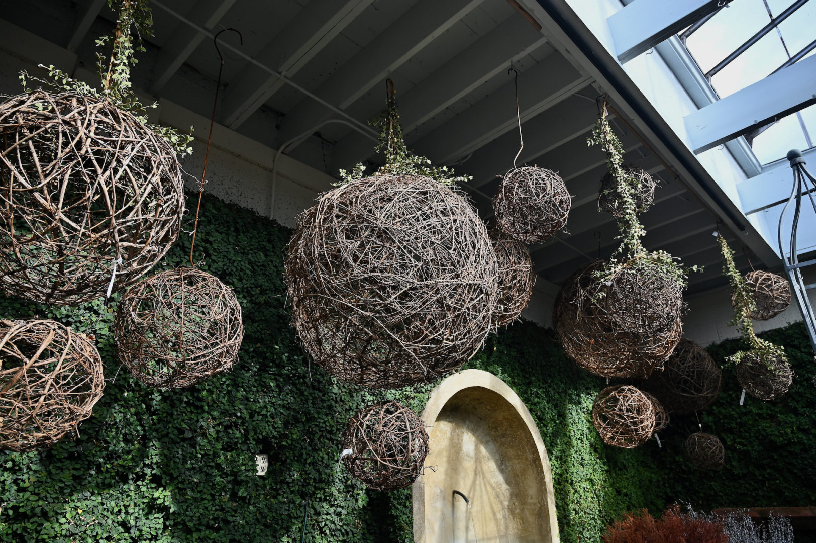 Grapevine Spheres