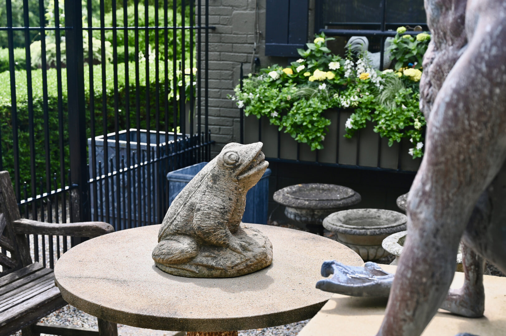 Large English Frog