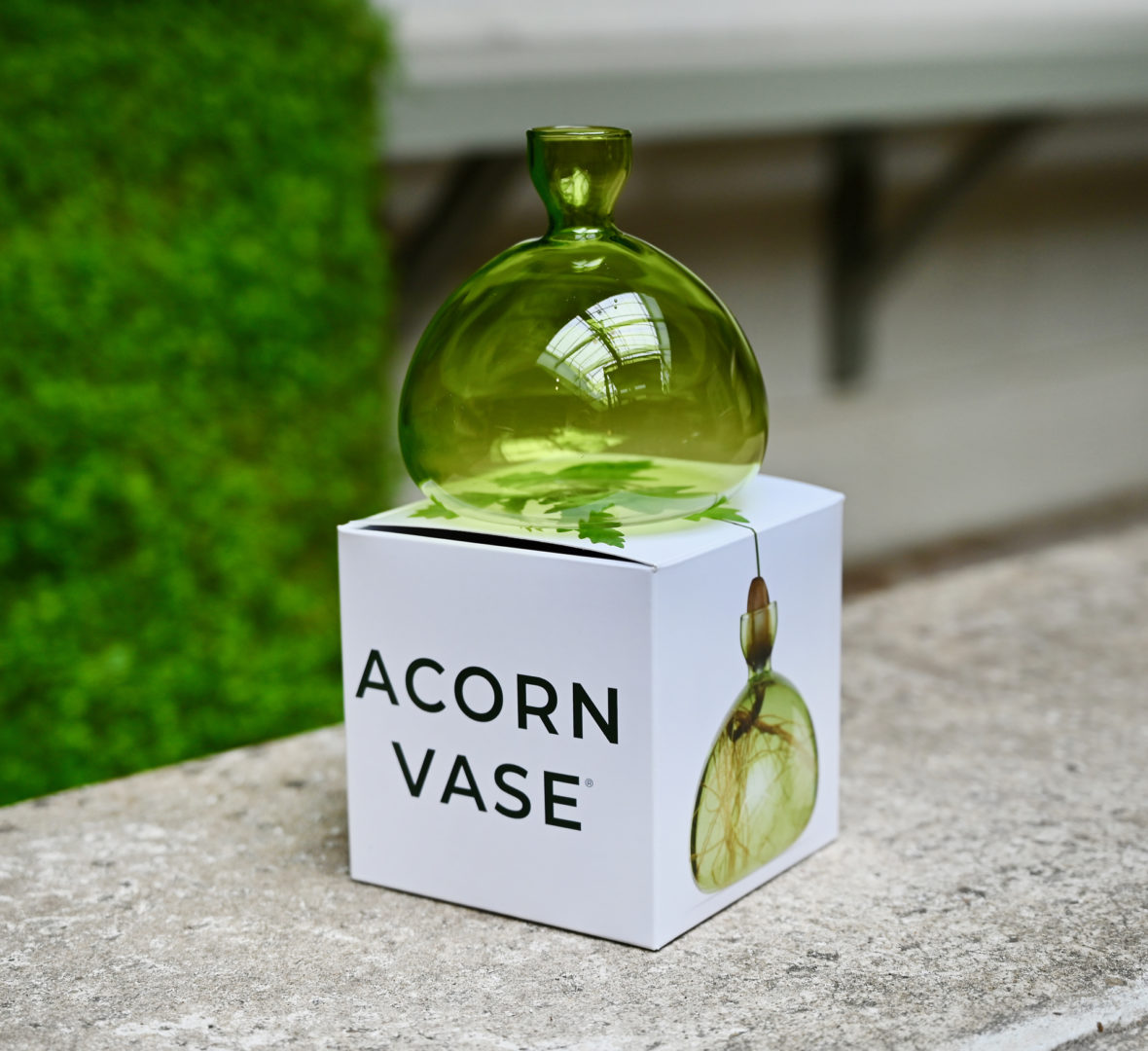 Acorn Vase in Green