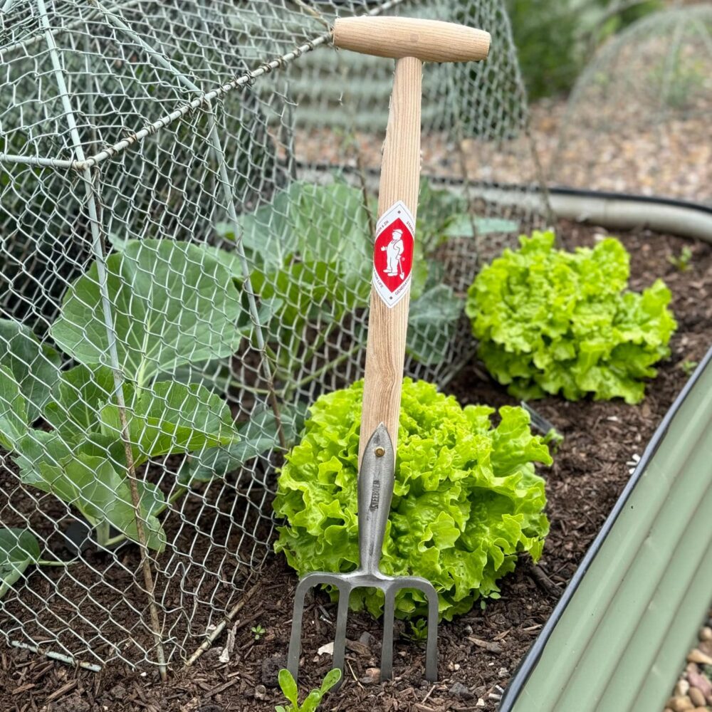 Sneeboer & Zn Great Dixter Fork 4t