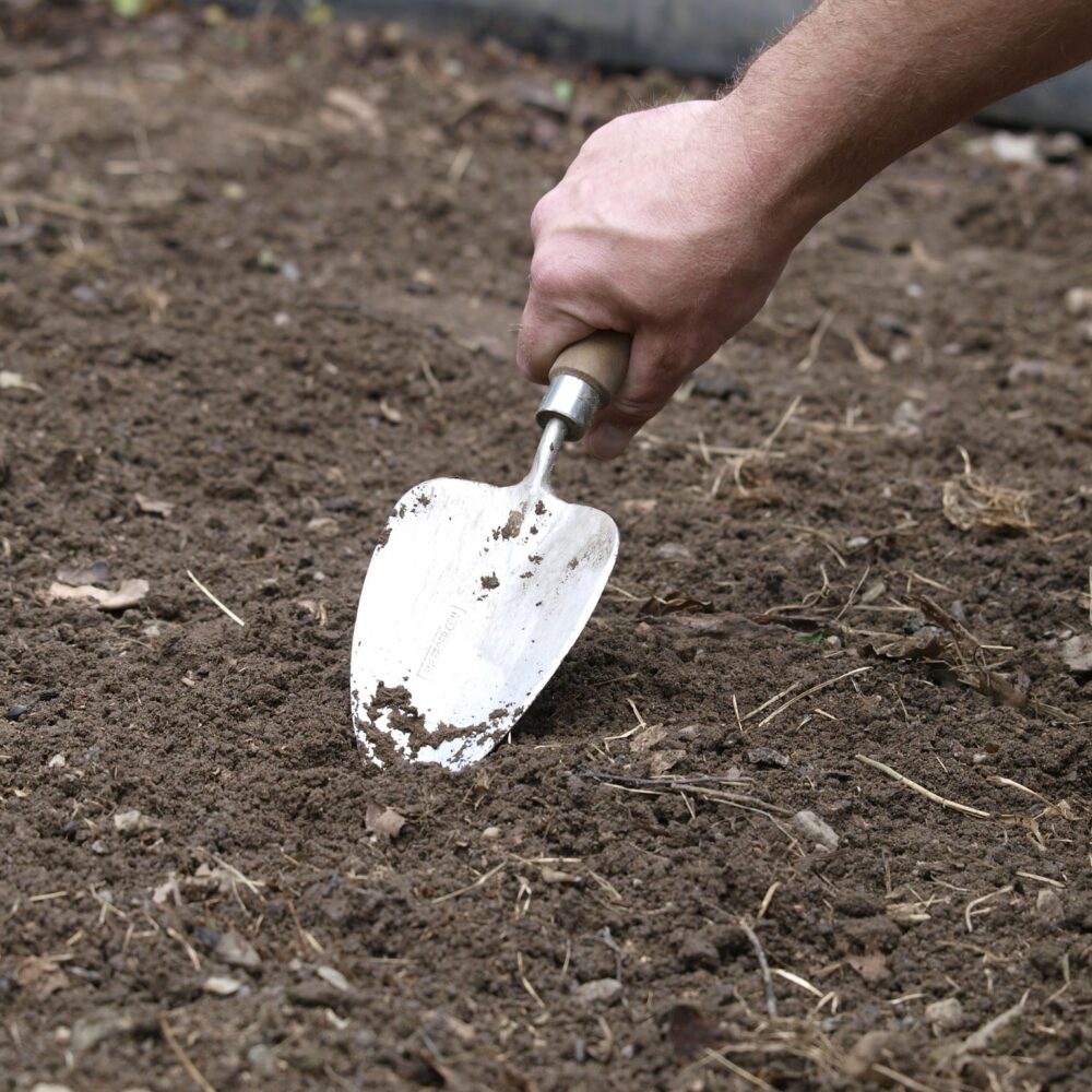 Sneeboer & Zn Transplanting Trowel