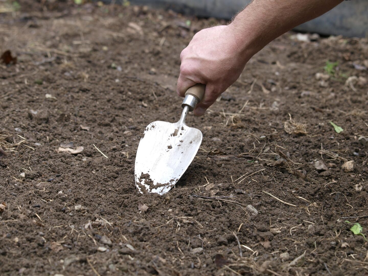 Sneeboer & Zn Transplanting Trowel