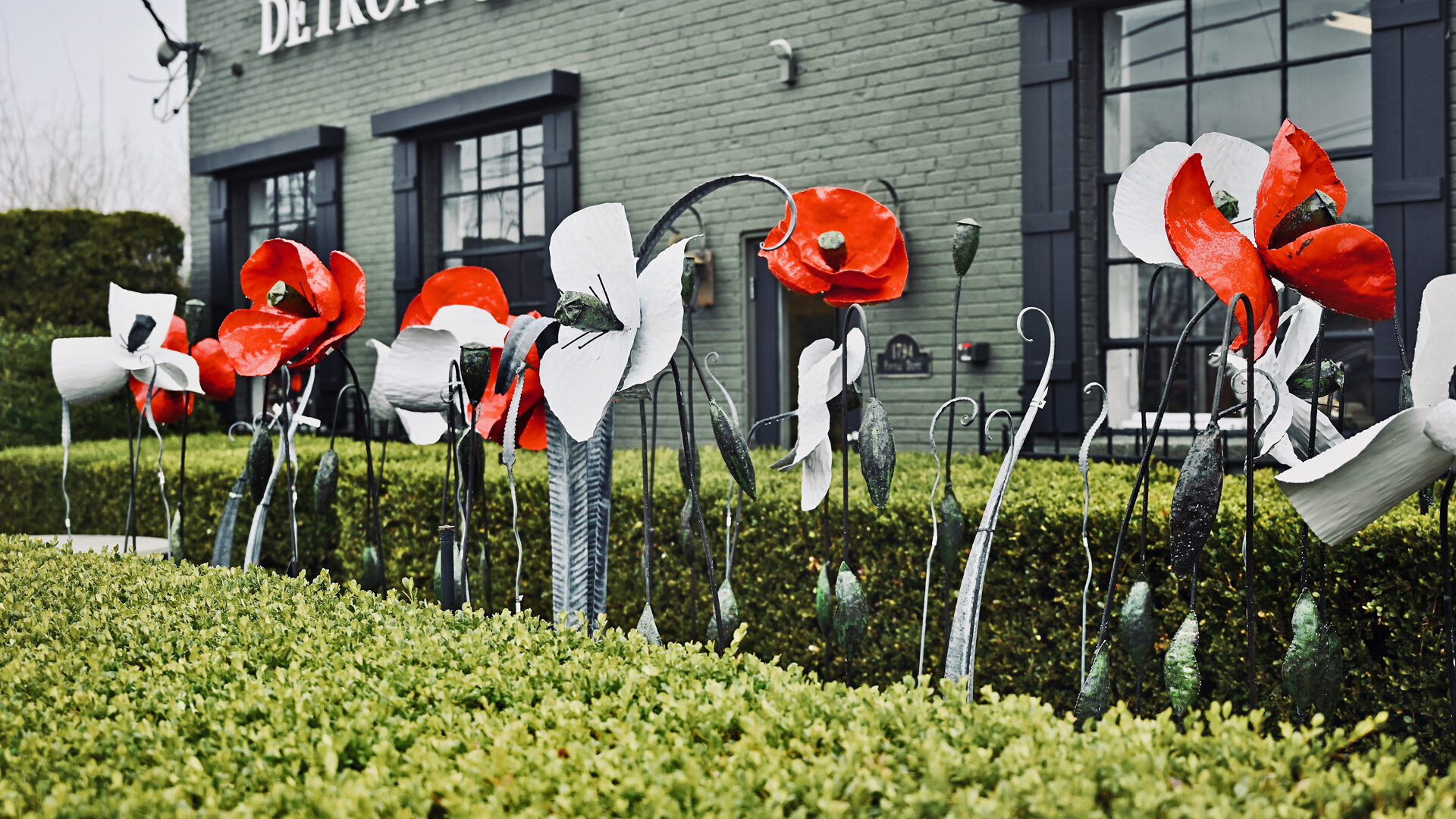 Giant Poppy Stakes From Zimbabwe - Detroit Garden Works