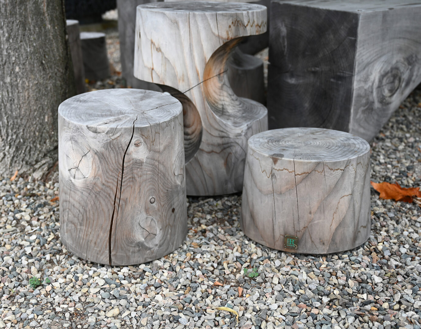 Legno Vivo Coffee Table