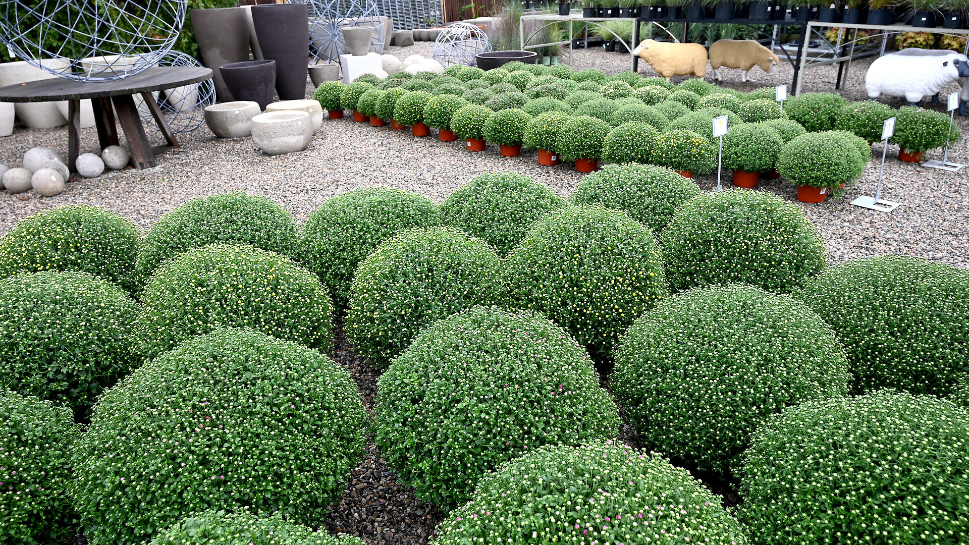 Detroit Garden Works