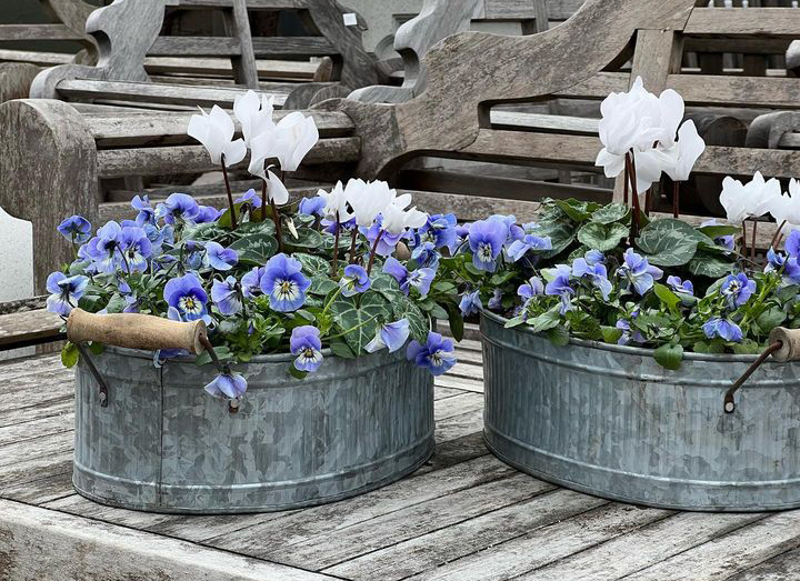 Galvanized Tubs with Handles