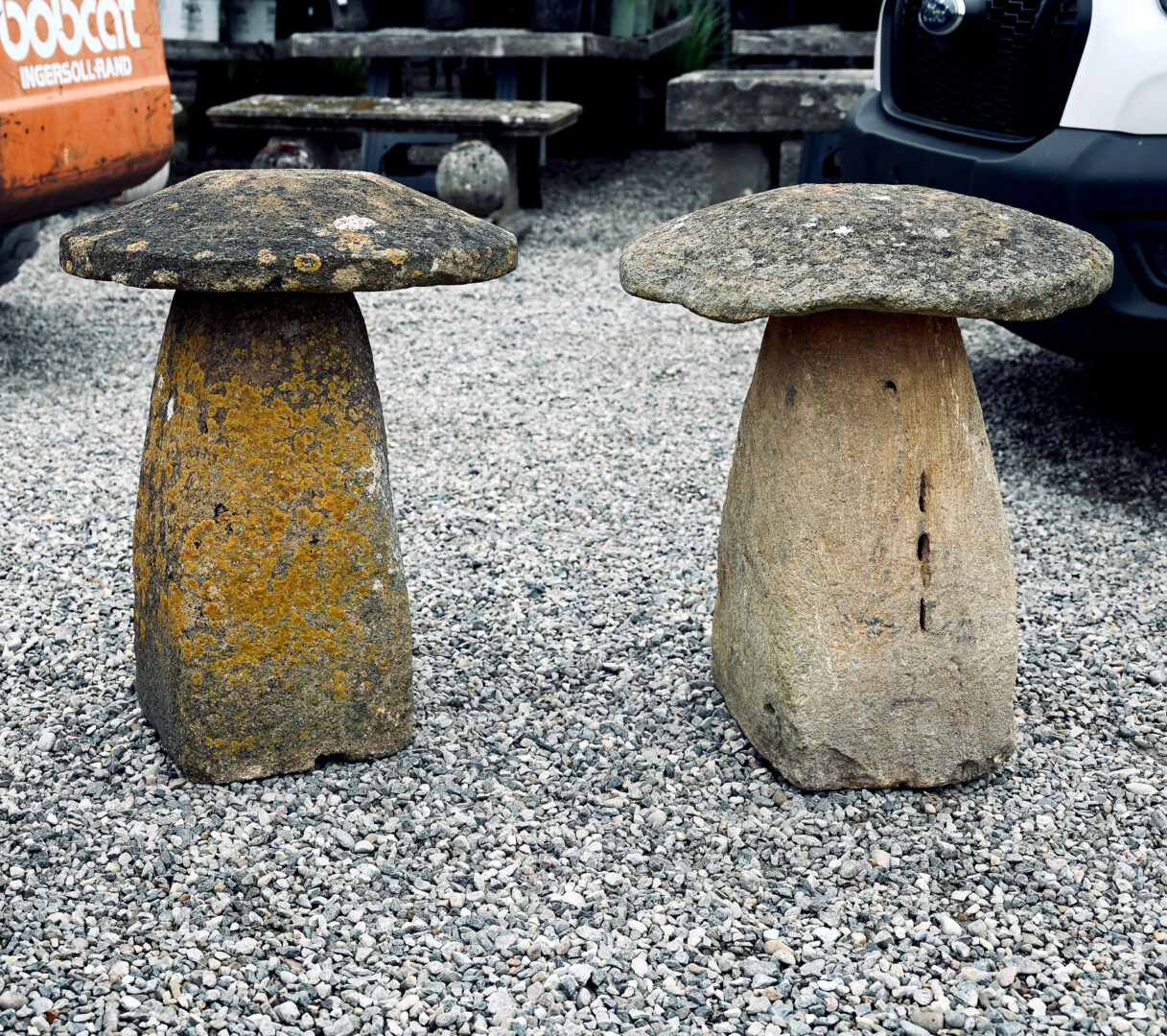 Pair of Ham Stone Staddle Stones