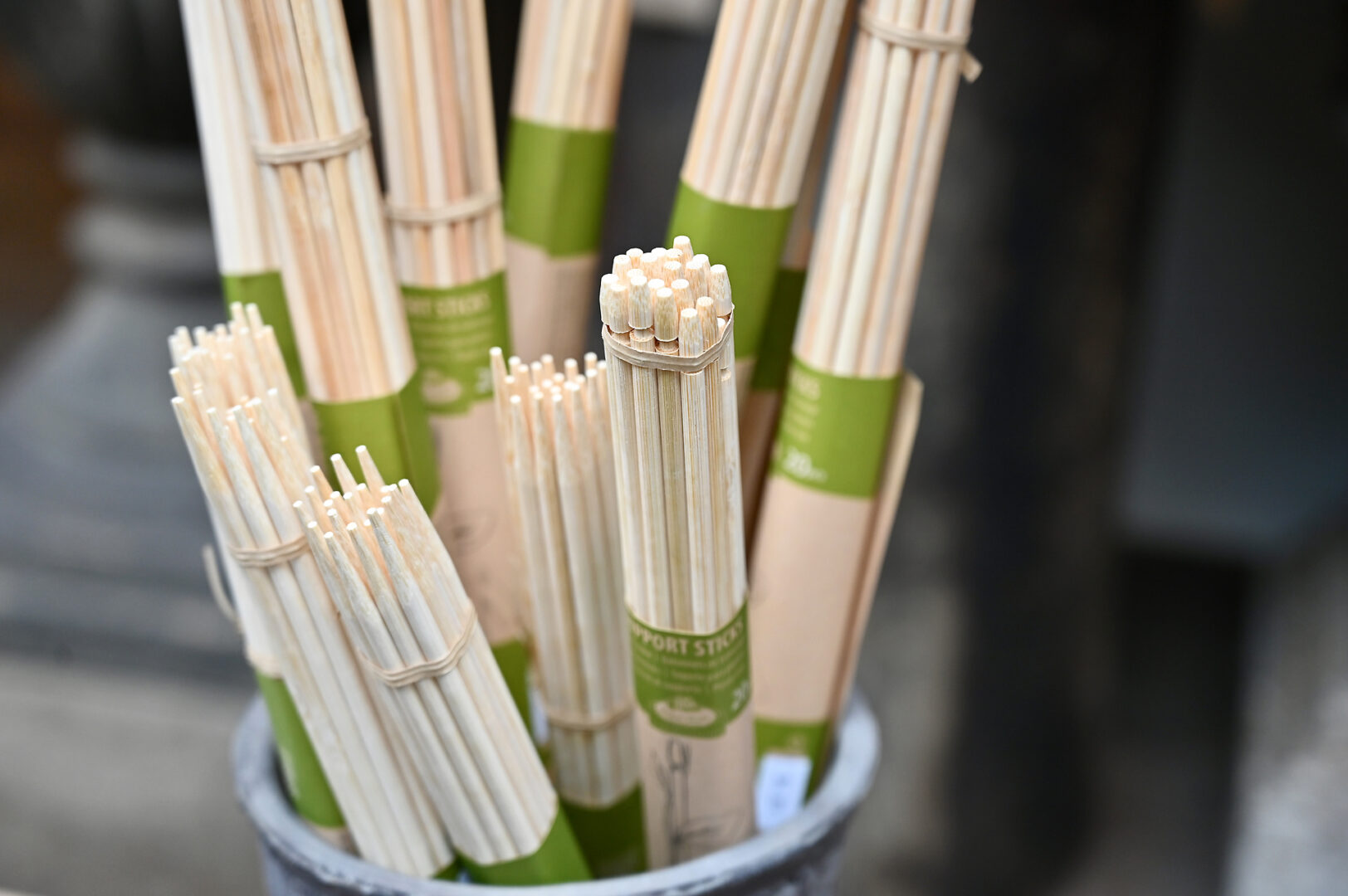 Set of 20 Bamboo Support Sticks