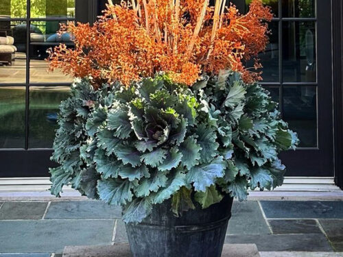 Detroit Garden Works