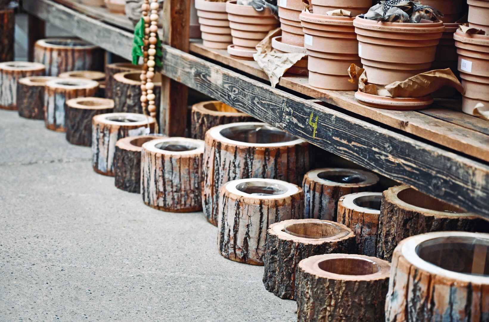 Bark Lined Wood Pots
