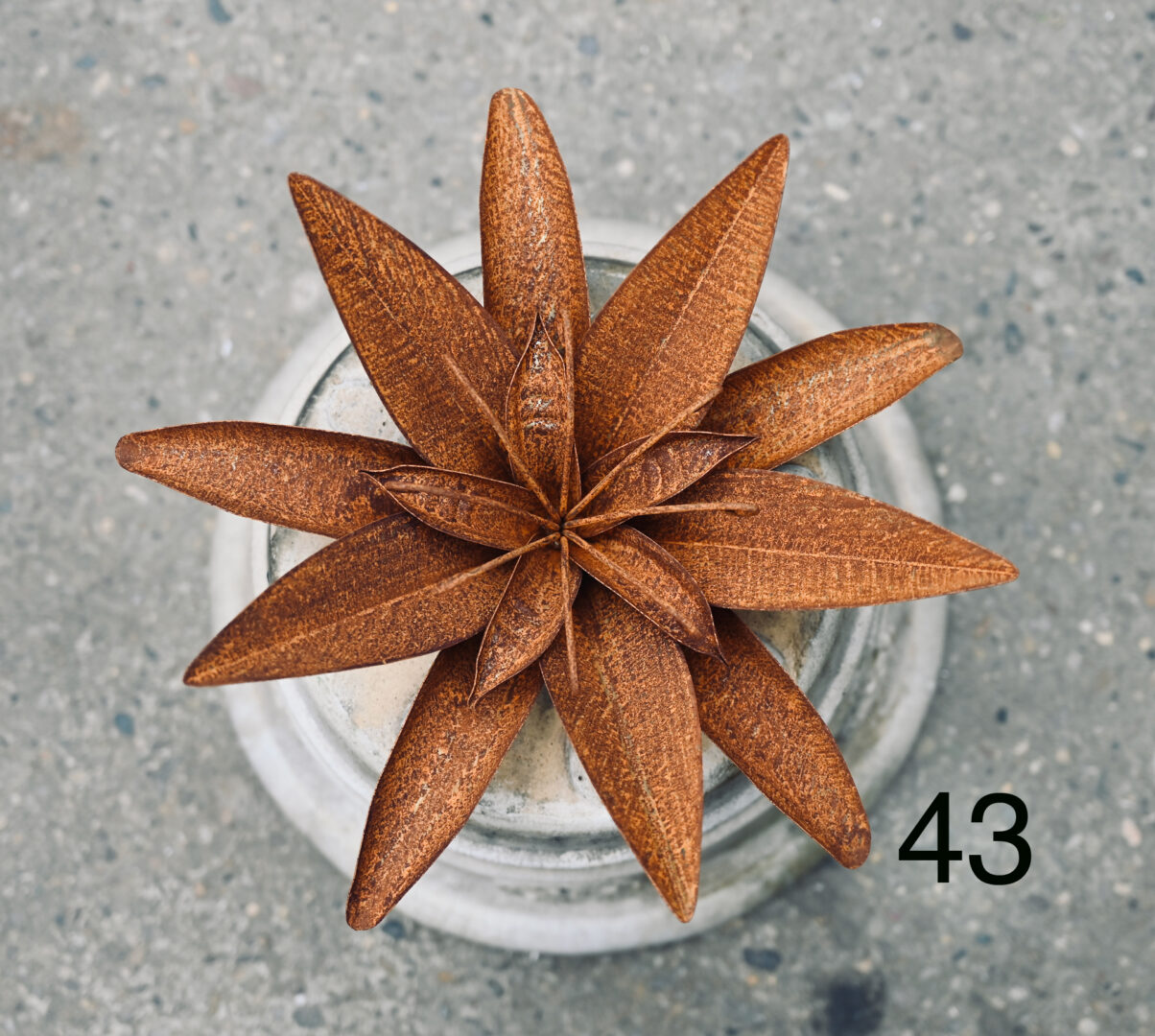 Detroit Garden Works