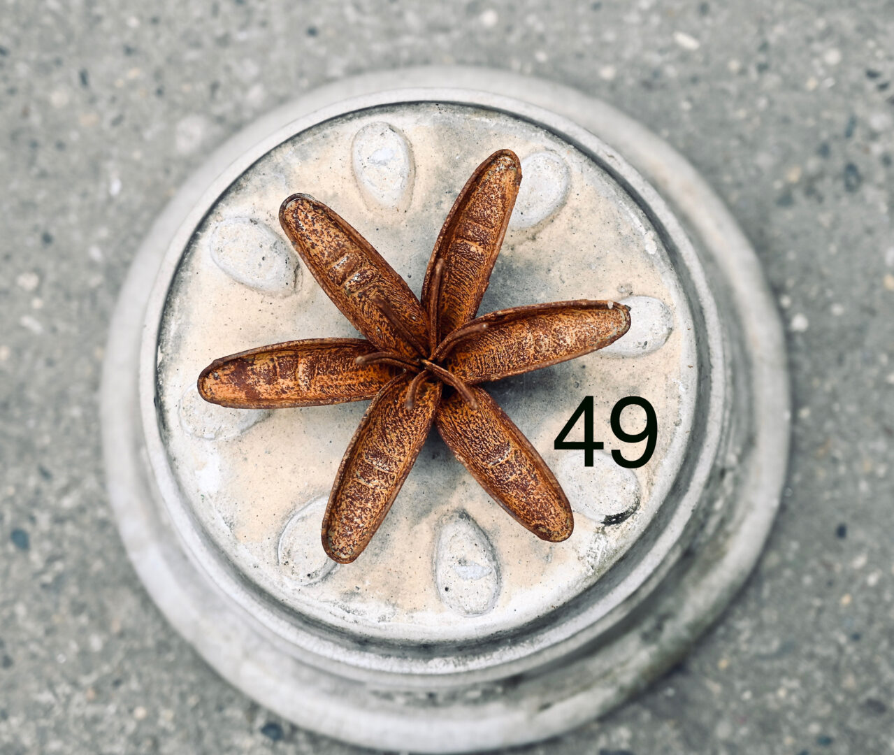 Detroit Garden Works