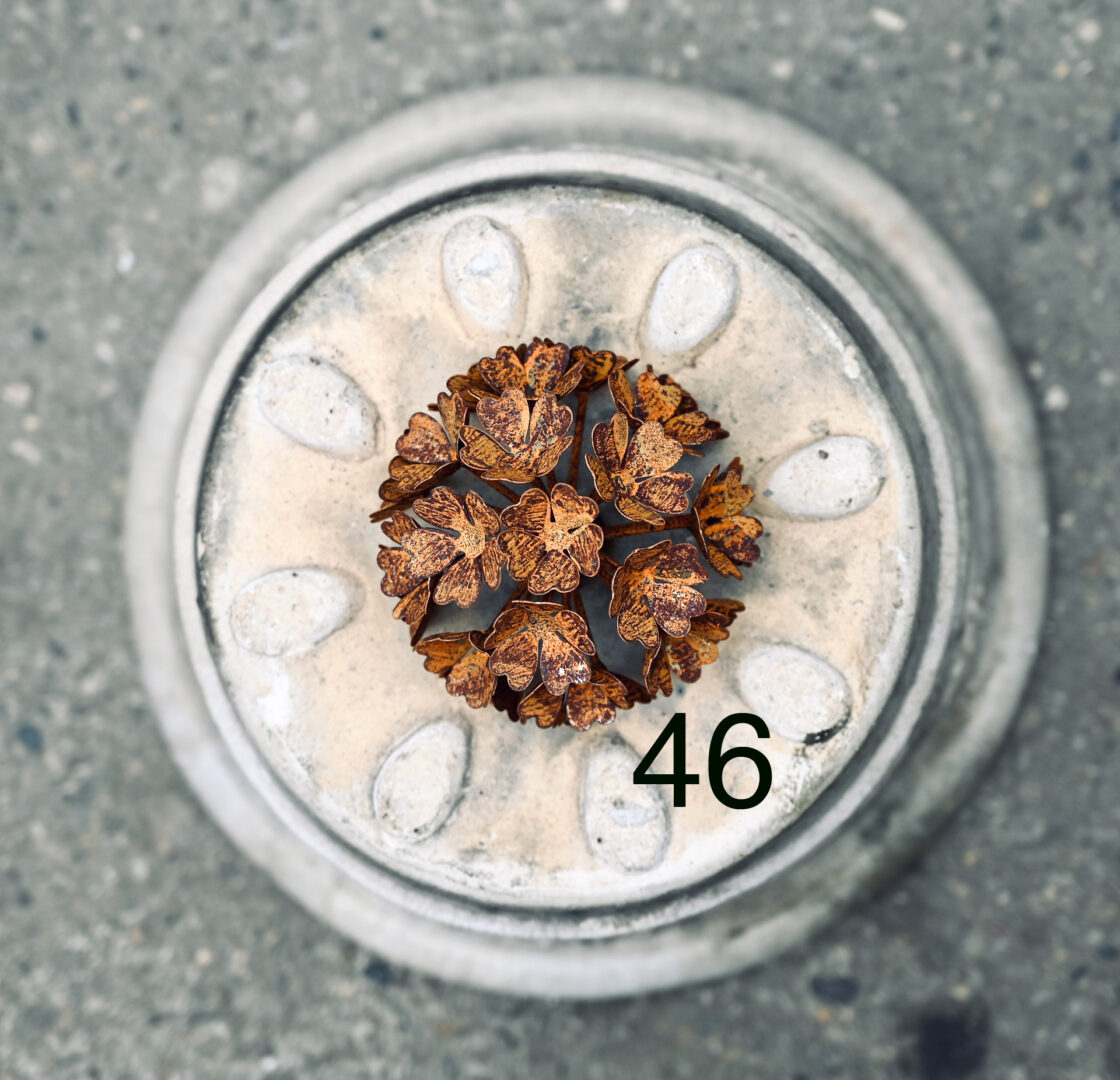 Detroit Garden Works