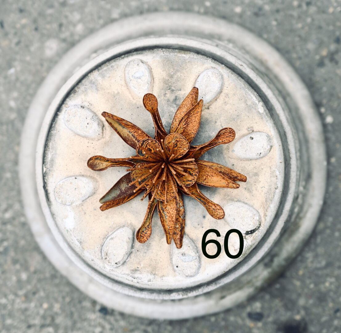 Detroit Garden Works