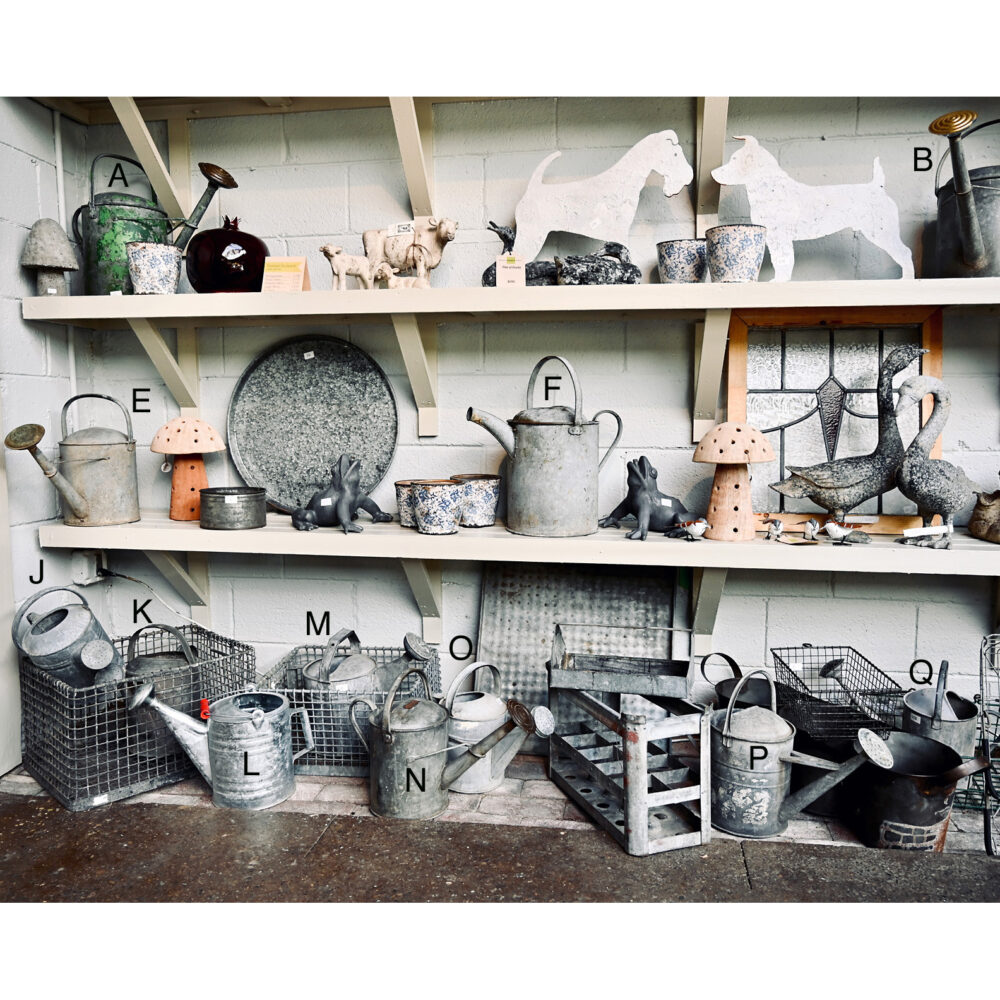 Vintage Watering Can Collection