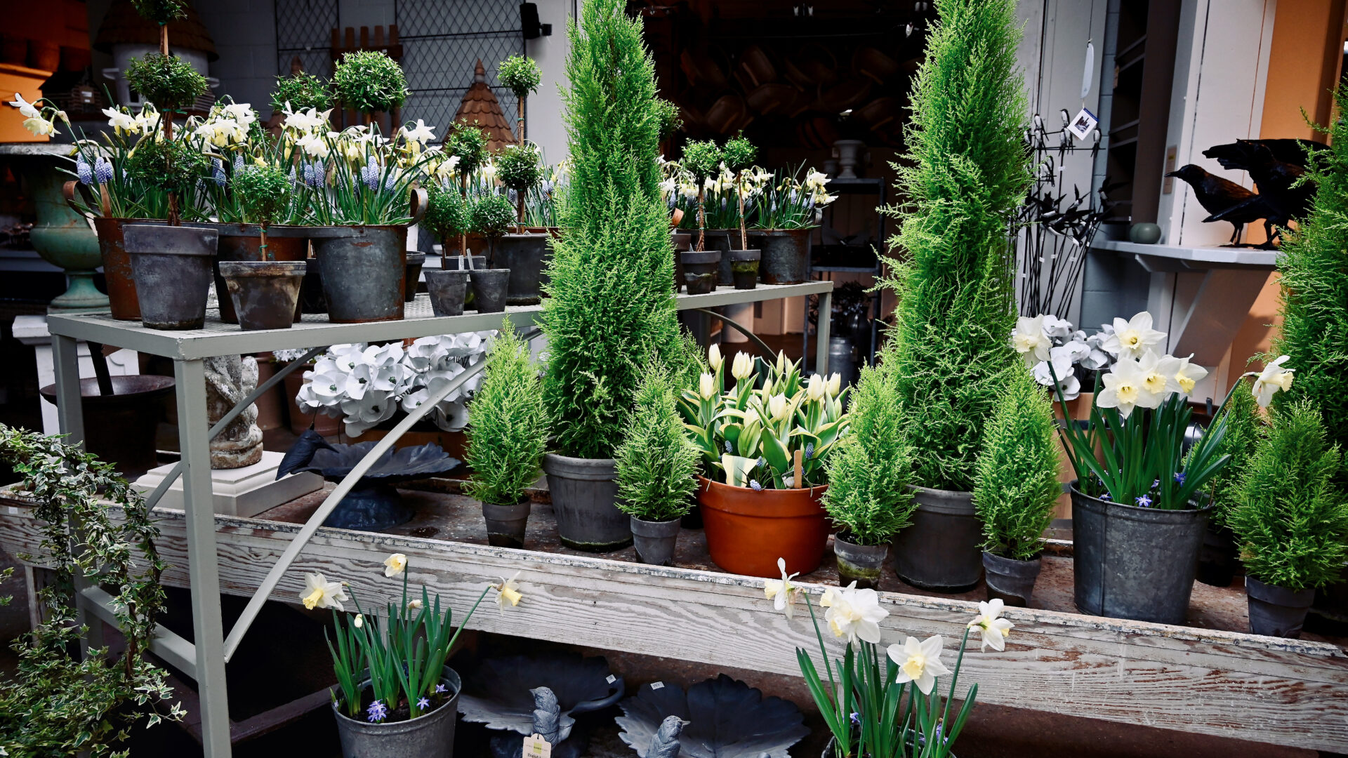 Spring at the Shop - Detroit Garden Works