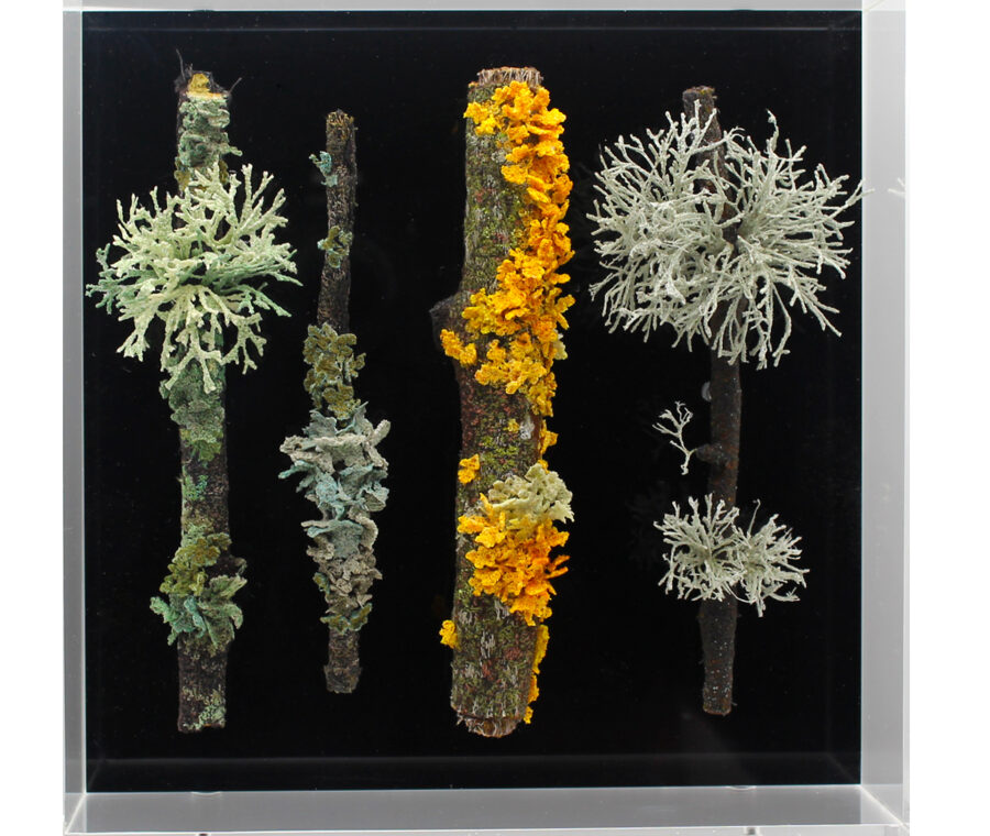 Shop: Ornament | Detroit Garden Works