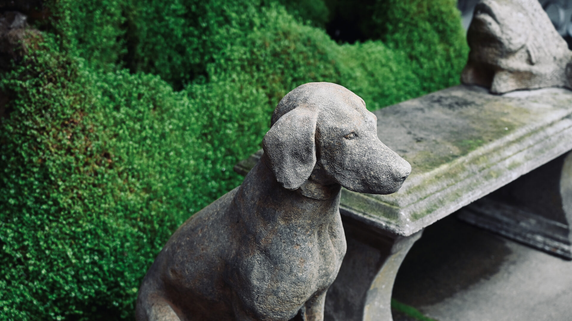 Hunting Dog Composite Stone Sculpture - Detroit Garden Works